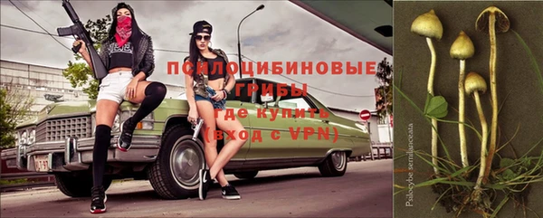 шишки Абдулино