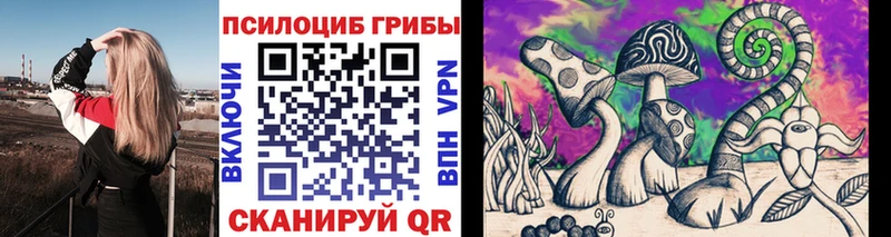 Галлюциногенные грибы мицелий  ОМГ ОМГ как зайти  Алатырь 
